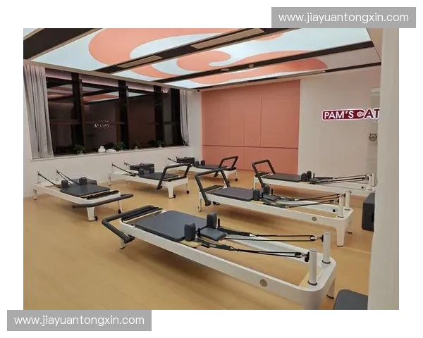 固定器械训练全攻略助你科学增肌塑形与力量提升指南